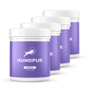 Hundpur® Nerven mit Glückskomplex