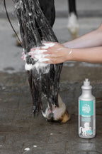 Pferdeshampoo mit Weizenproteinen MagicBrush,