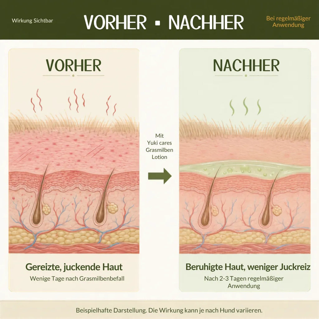 Grasmilben Lotion