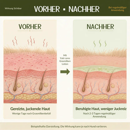 Grasmilben Lotion