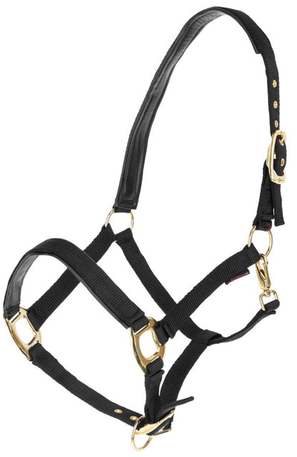 Gepolstertes Halfter mit goldfarbenen Schnallen schwarz-gold,