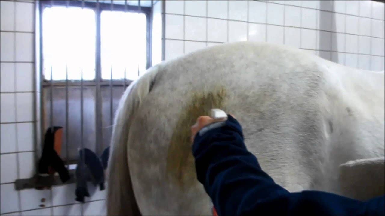 Hofman Animal Care - Excellent Horse Hi Gloss Clean Spray 500 ml