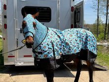 Pistol Lilly Ranch - PLR-Lycra-Sleazy