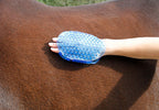 Magnet-Massage-Striegel royalblau,
