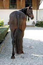 Schweifschoner,