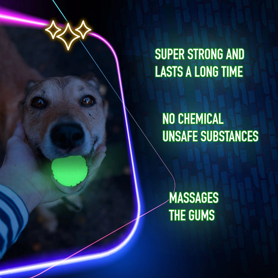 2 Glow Werf- und Fangspielzeug