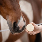Doderm Shampoo Bar Horse