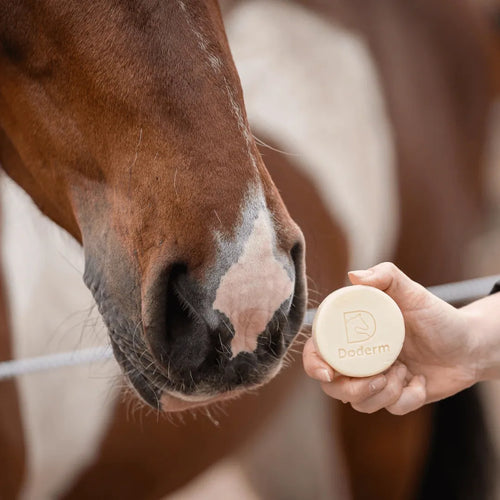 Doderm Shampoo Bar Horse