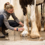 Doderm Shampoo Bar Horse