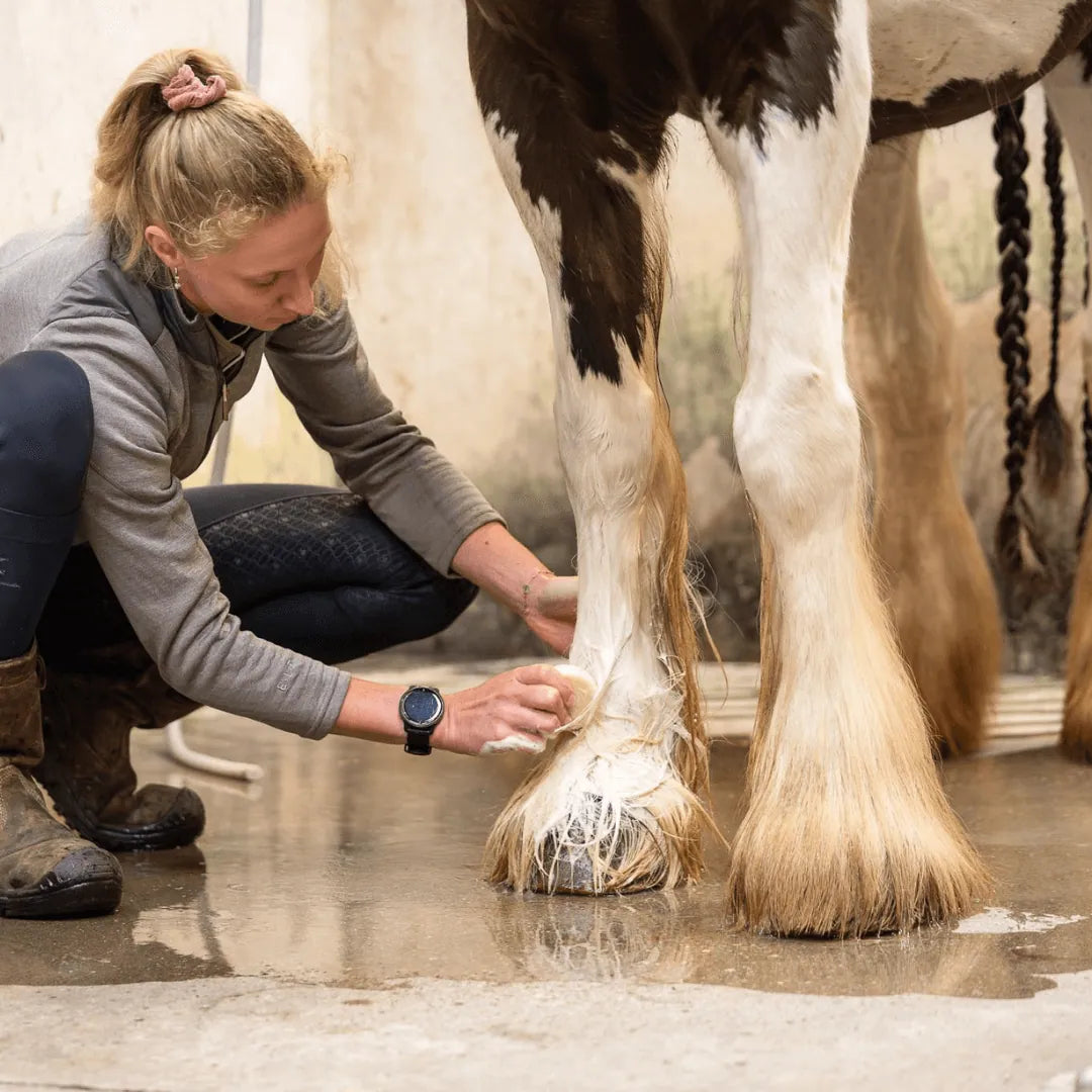 Doderm Shampoo Bar Horse