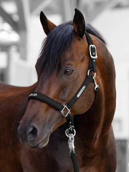 Stallhalfter Satin Shine