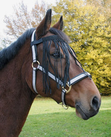 Fliegenfransenband schwarz