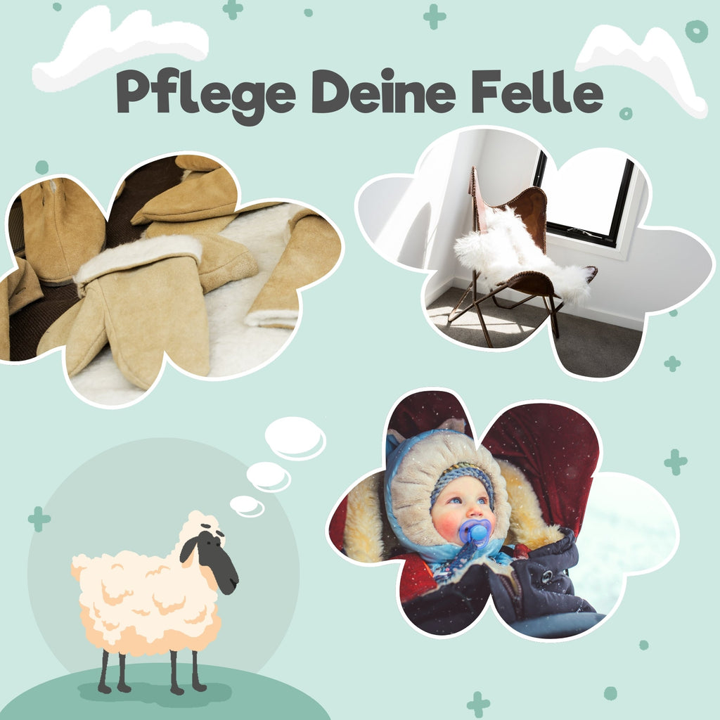 eco:fy - Waschmittel für Schaf- & Lammfelle