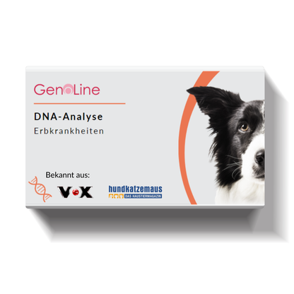 DNA-Erbkrankheiten Analyse Hund