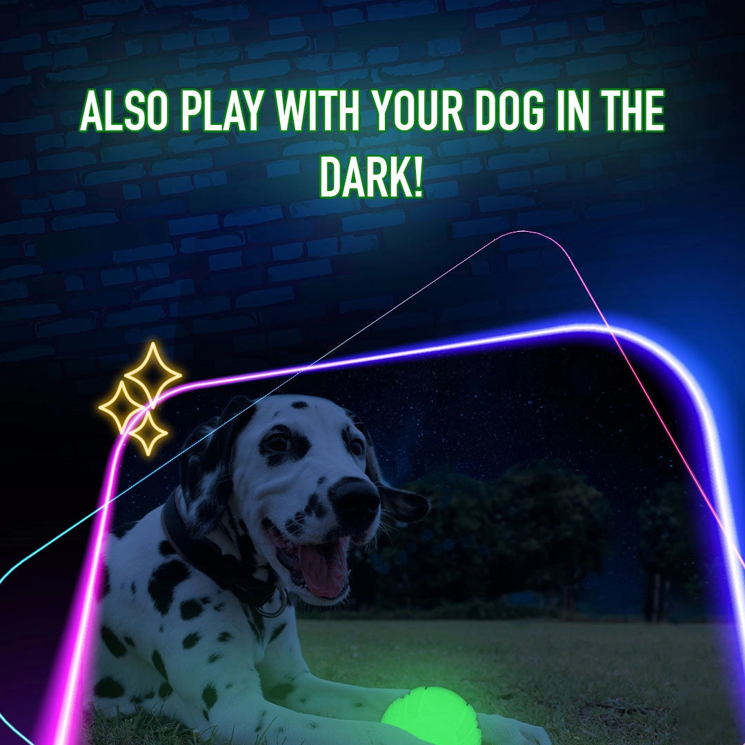 2 Glow Werf- und Fangspielzeug