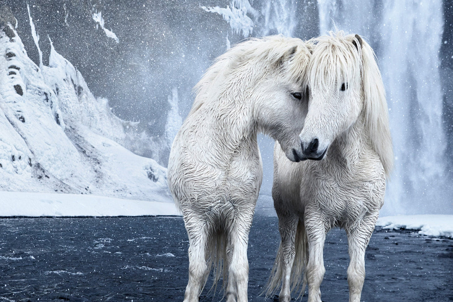 Untamed Spirits