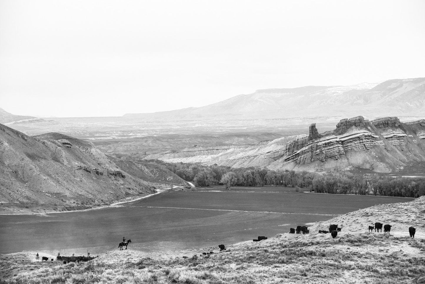 A Ranch Year Cowboys of the West Buch