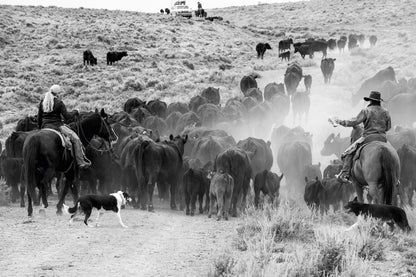 A Ranch Year Cowboys of the West Buch