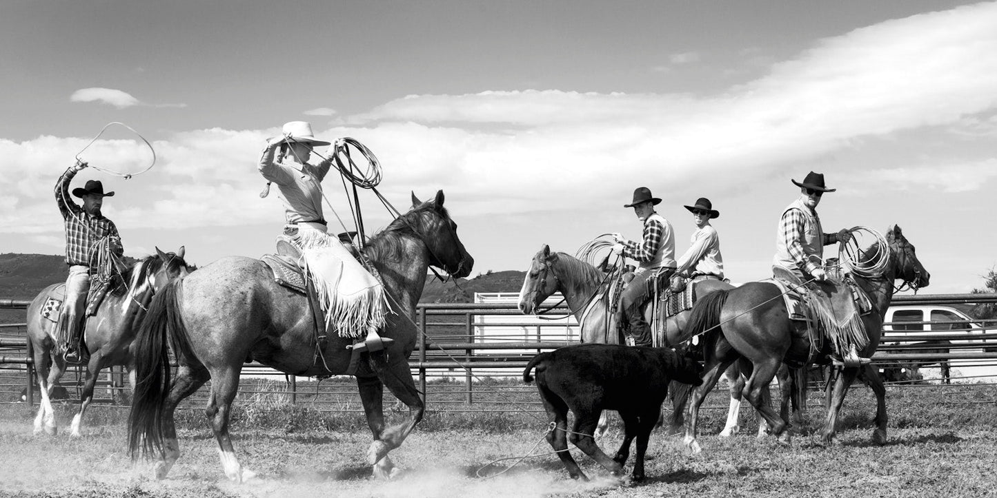 A Ranch Year Cowboys of the West Buch