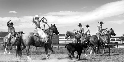 A Ranch Year Cowboys of the West Buch