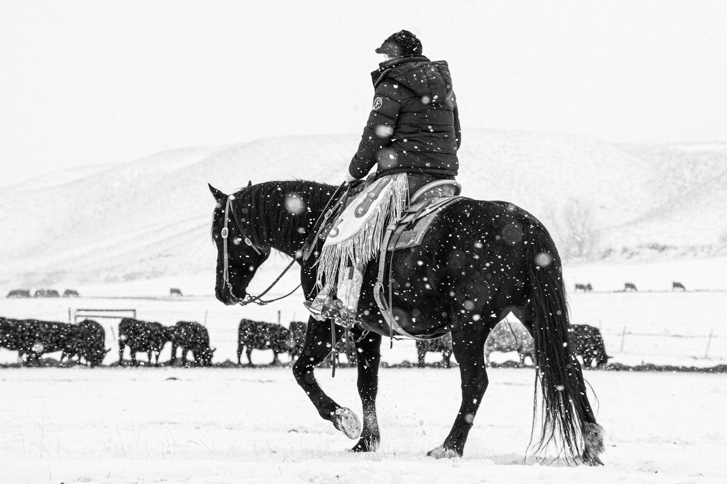 A Ranch Year Cowboys of the West Buch