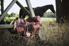 Reiten - Das ultimative Buch
