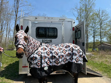 Pistol Lilly Ranch - PLR-Lycra-Sleazy