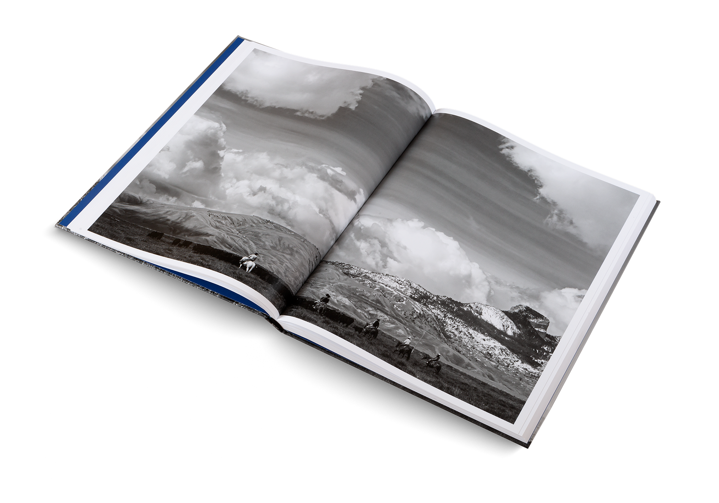 A Ranch Year Cowboys of the West Buch