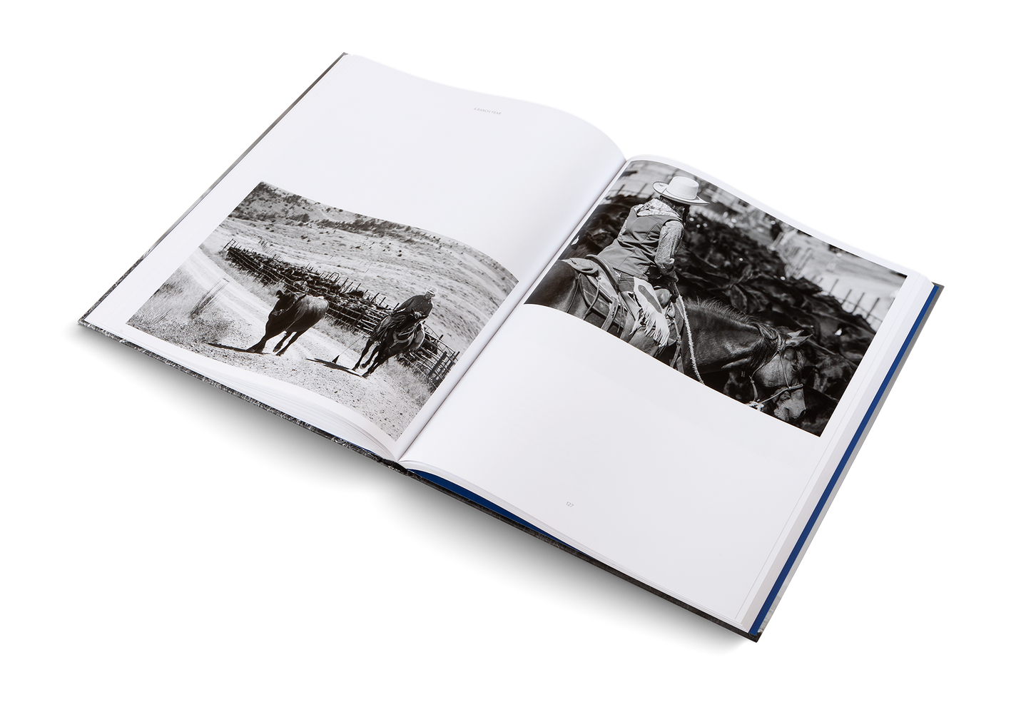 A Ranch Year Cowboys of the West Buch