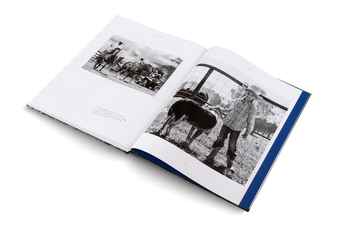 A Ranch Year Cowboys of the West Buch