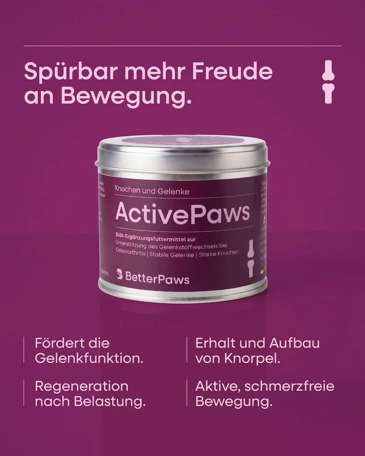 ActivePaws