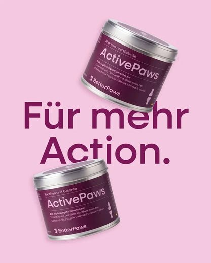 ActivePaws