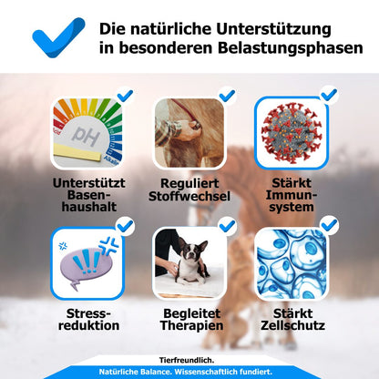 AnoKath® Liquid – Säure-Basen-Haushalt bei Azidose beim Pferd begleiten