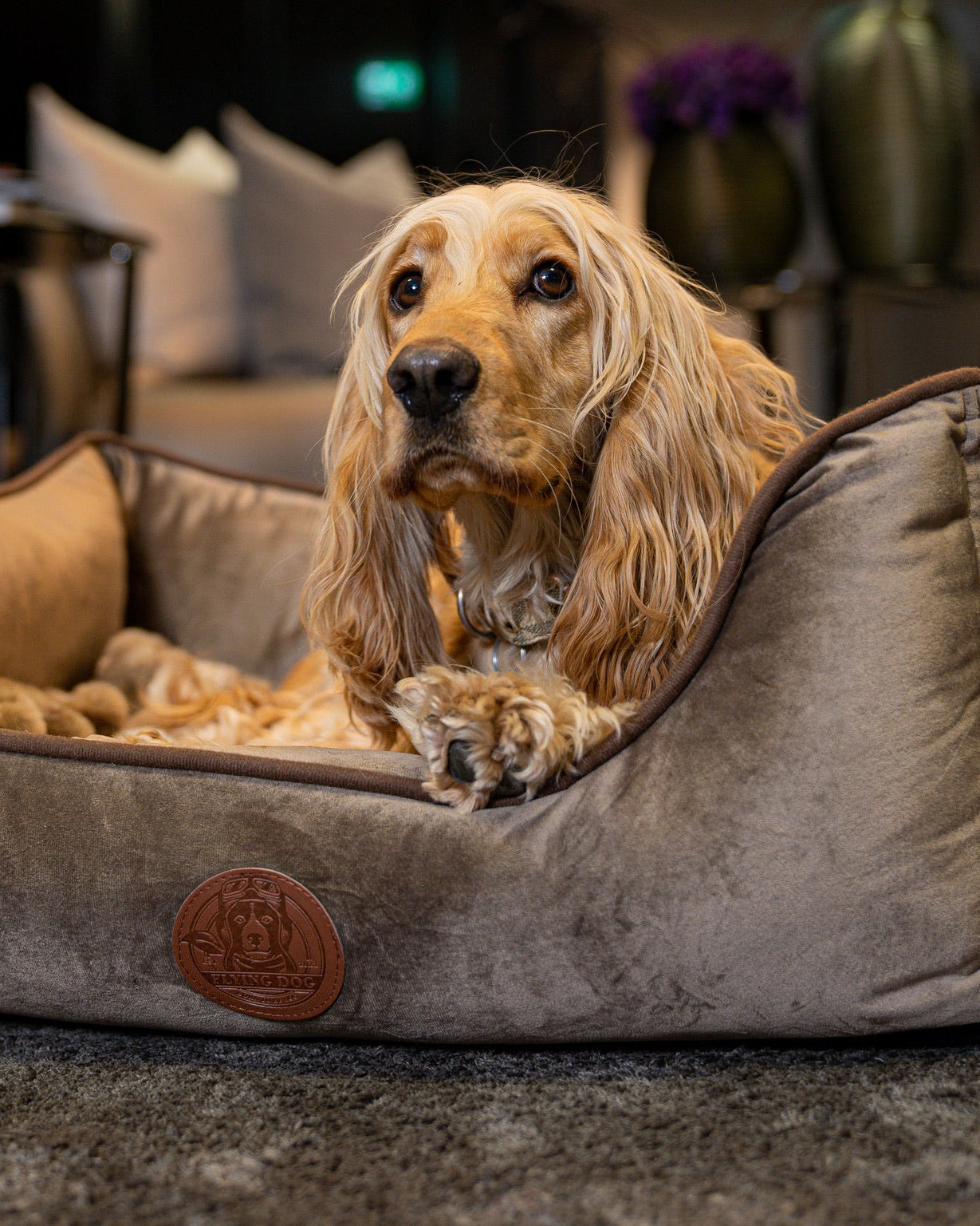 FlyingDog - Hundebett Henri