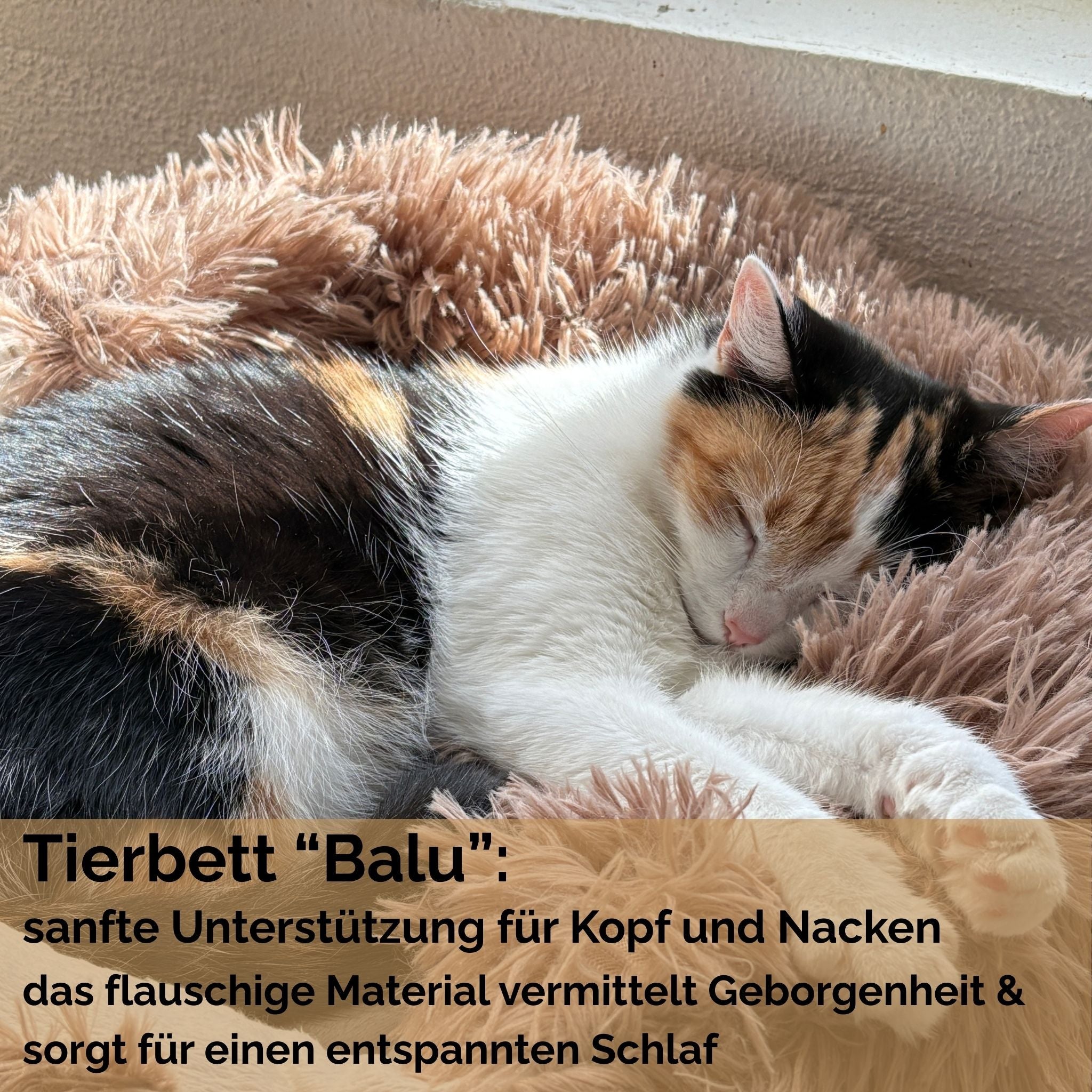 Hundebett "Balu" kuschelig weiche & waschbare Auflage – mit hohem Rand für Auto & Sofa