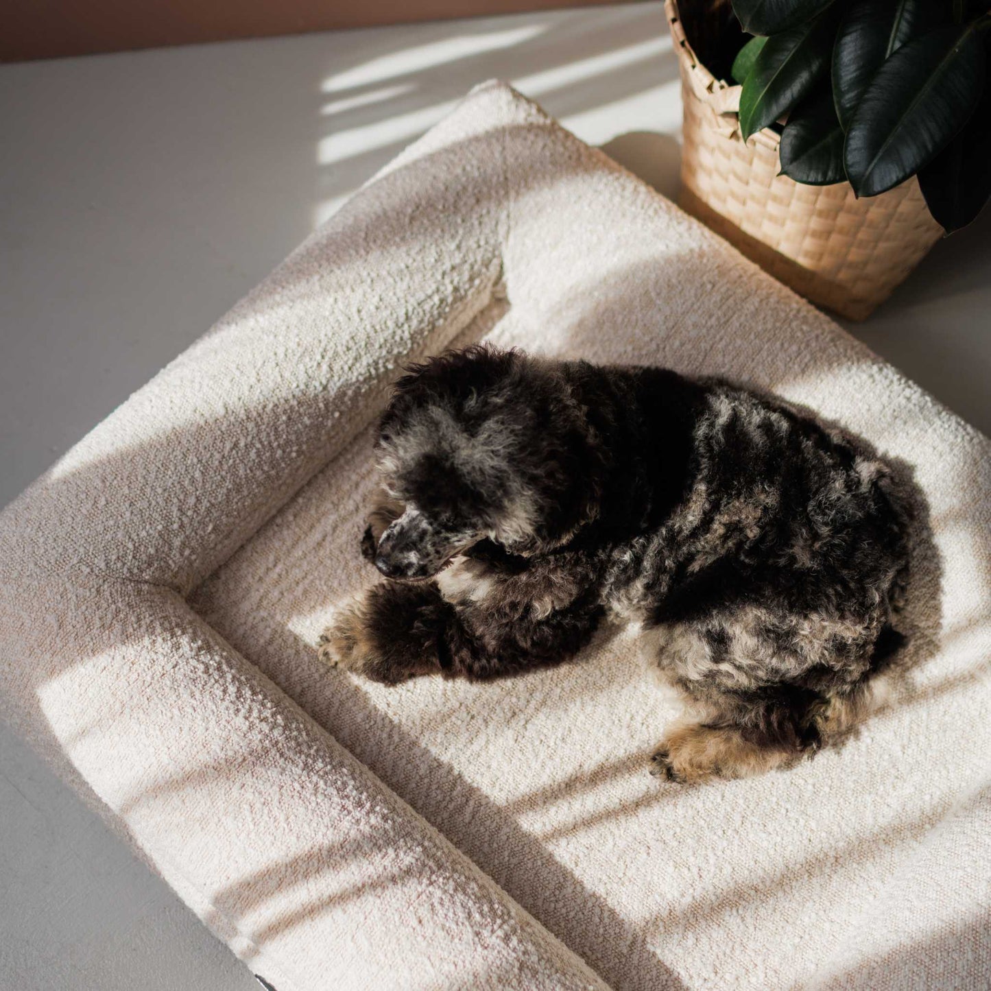 Hundebett Barklay Größe S mit Bouclébezug