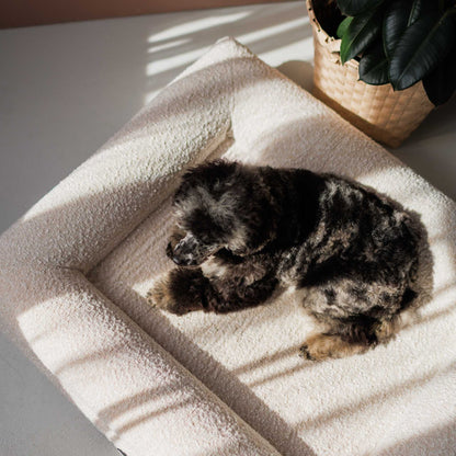 Hundebett Barklay Größe S mit Bouclébezug