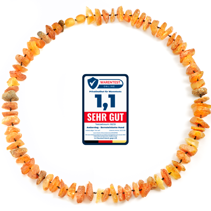amberdog - Hunde Bernsteinkette Sonne