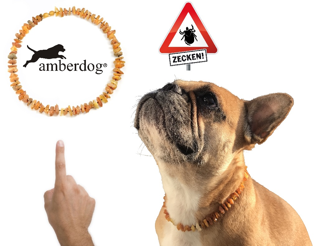 amberdog - Hunde Bernsteinkette Sonne
