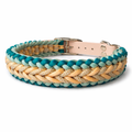 Pfotenlieblinge - Handgemachtes Paracord-Hundehalsband "Seagrass"