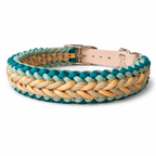 Pfotenlieblinge - Handgemachtes Paracord-Hundehalsband "Seagrass"