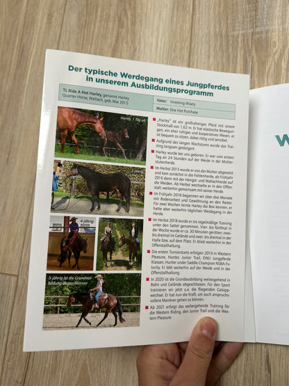 -gebraucht- Praxisbuch Westernreiten • Die Grundausbildung des Westernpferdes - Softcover