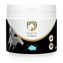 Excellent - Deep Ice Kühlgel 400ml