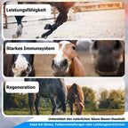 AnoKath® Liquid – Darmsanierung beim Pferd im Alltag unterstützend begleiten