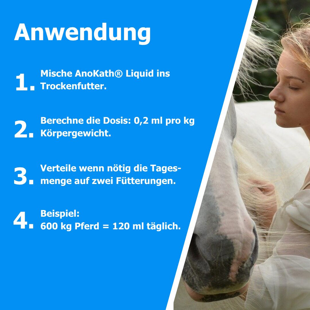 AnoKath® Liquid – Darmsanierung beim Pferd im Alltag unterstützend begleiten