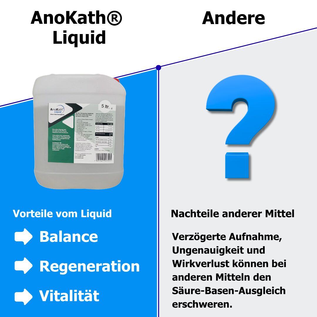 AnoKath® Liquid – Darmsanierung beim Pferd im Alltag unterstützend begleiten
