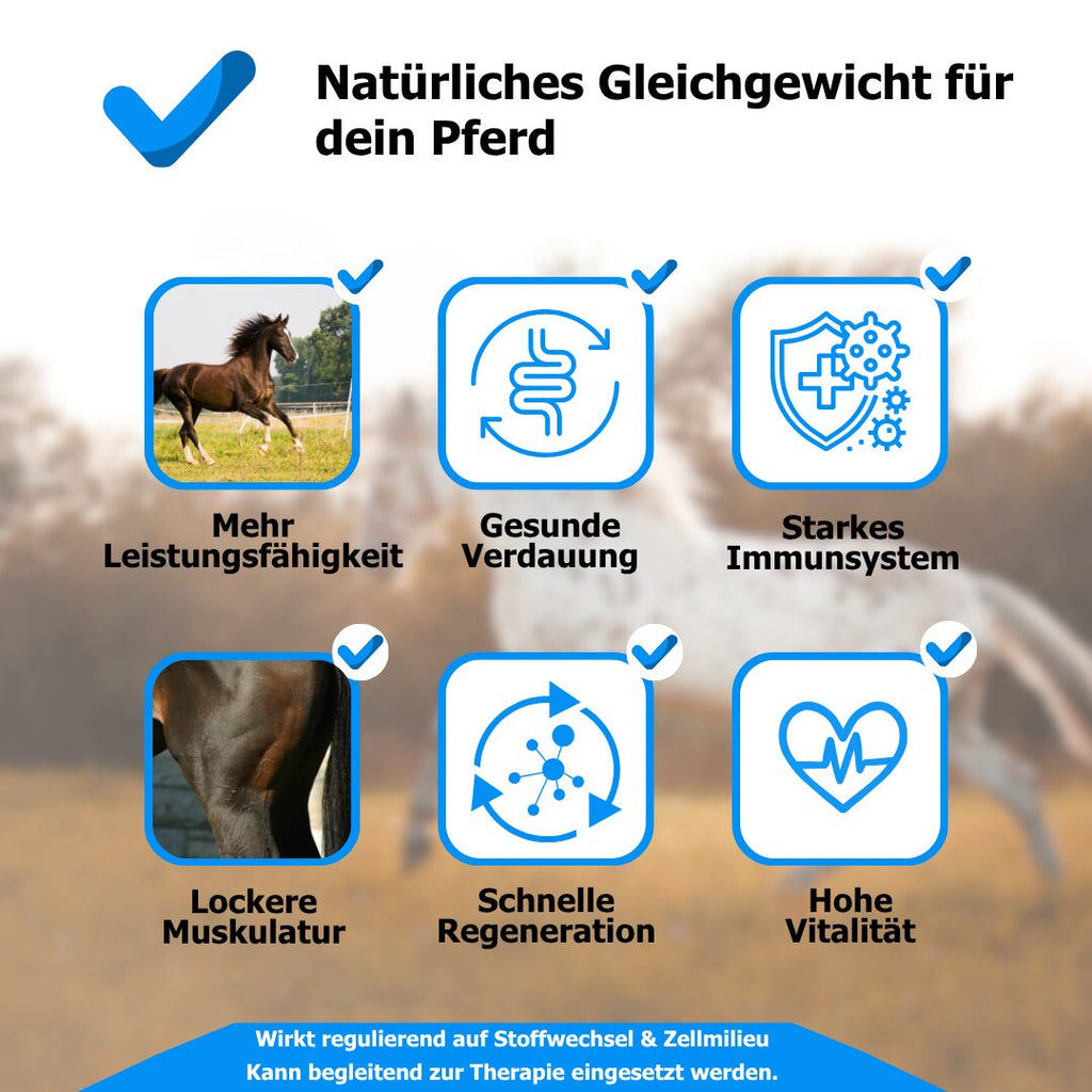 AnoKath® Liquid – Darmsanierung beim Pferd im Alltag unterstützend begleiten