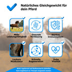 AnoKath® Liquid – Darmsanierung beim Pferd im Alltag unterstützend begleiten