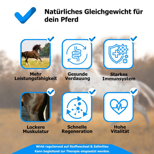 AnoKath® Liquid – Darmsanierung beim Pferd im Alltag unterstützend begleiten