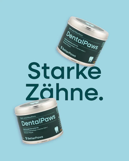 DentalPaws